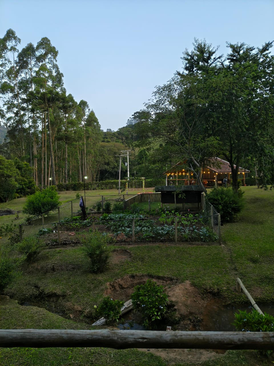 Tábua de geleias e queijos artesanais